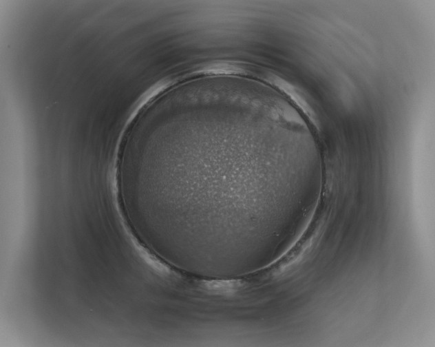 X0000111350853200907101208