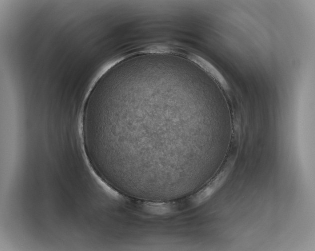 X0000111350855200907101208