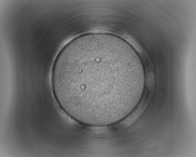 X0000111350856200907101208