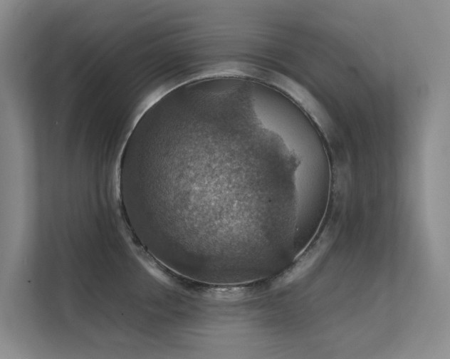X0000111350858200907101208