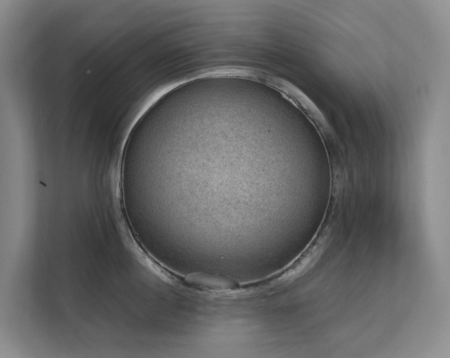 X0000111350860200907101208