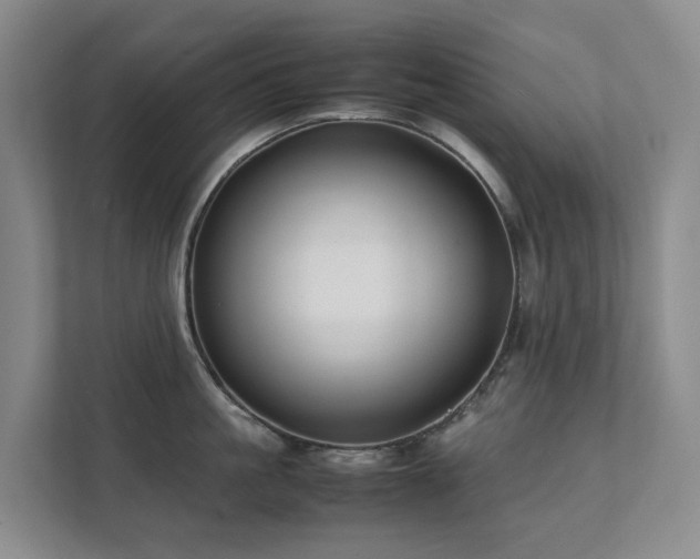 X0000111350861200907101208