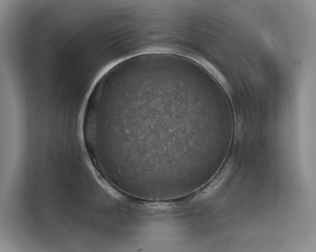 X0000111350862200907101208