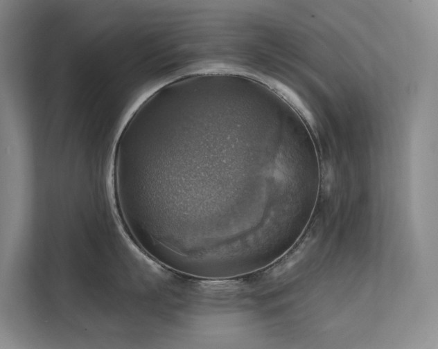 X0000111350863200907101208