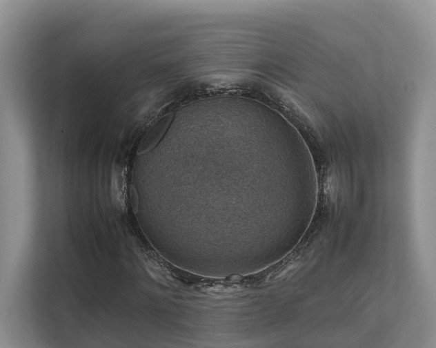 X0000111350868200907101208