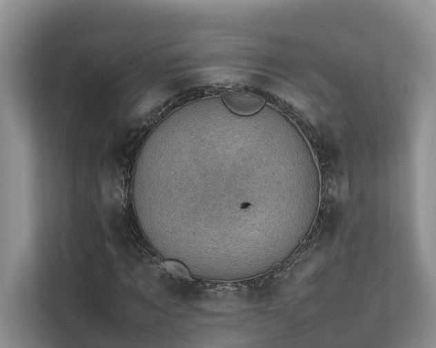 X0000111350869200907101208