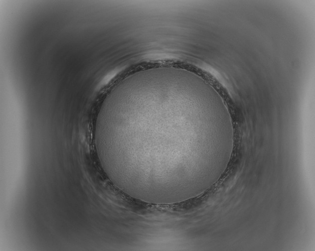 X0000111350871200907101208