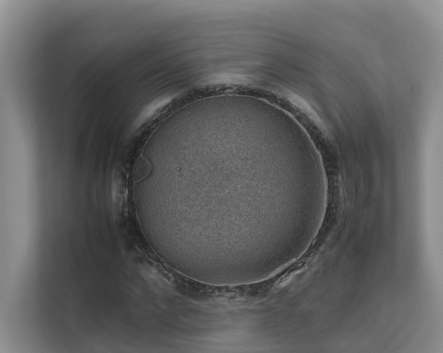 X0000111350872200907101208