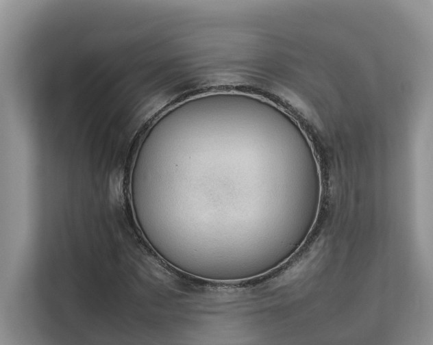 X0000111350873200907101208