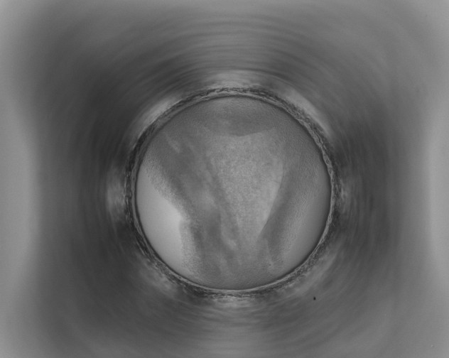 X0000111350874200907101208