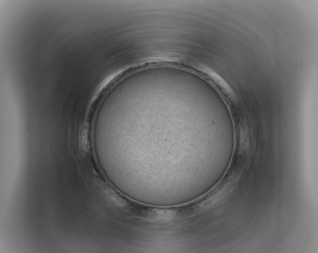 X0000111350878200907101208
