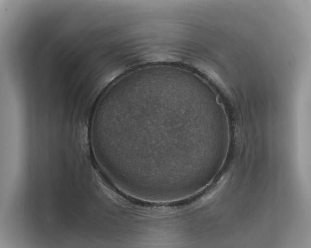 X0000111350881200907101208