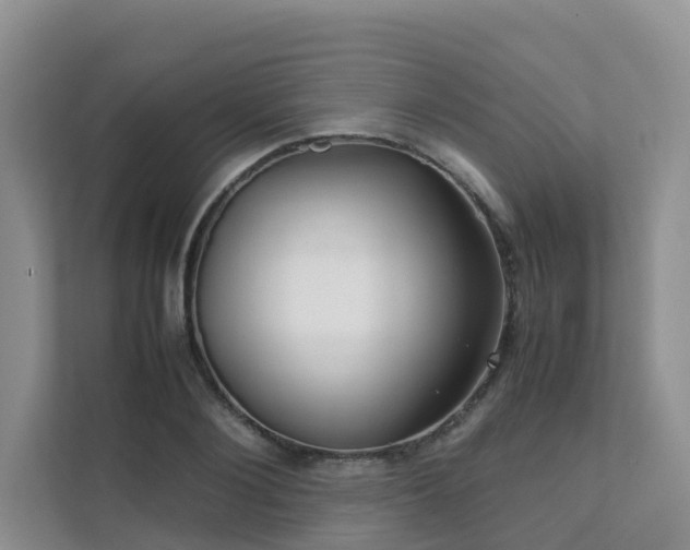 X0000111350884200907101208