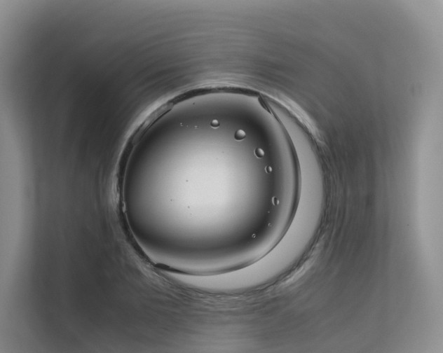X0000111350885200907101208