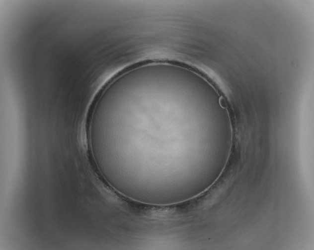 X0000111350887200907101208