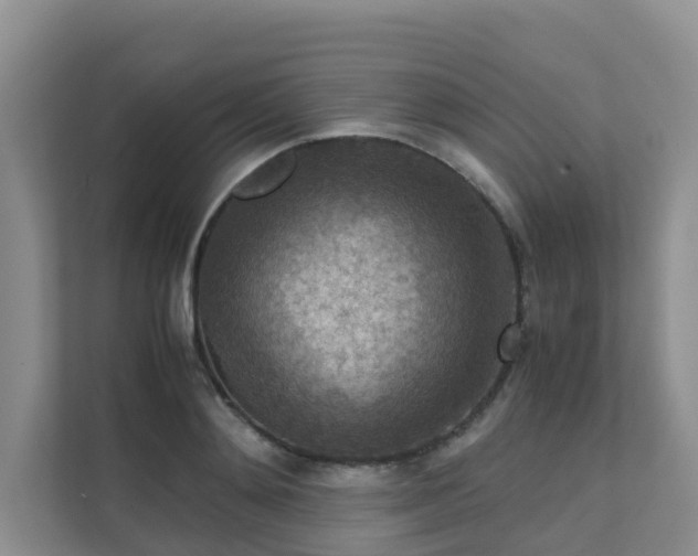X0000111350892200907101207