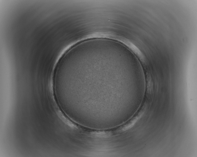X0000111350896200907101207