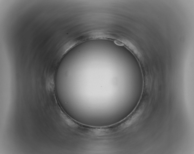 X0000111350897200907101207
