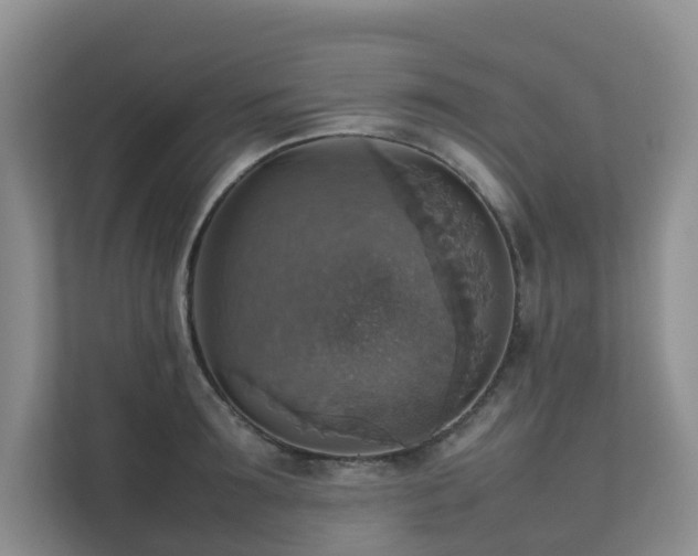 X0000111350899200907101207