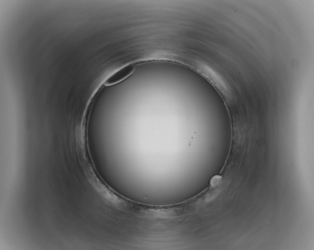 X0000111350900200907101207