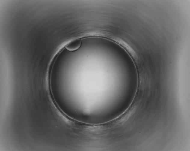 X0000111350902200907101207
