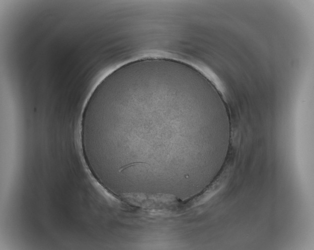 X0000111350903200907101207