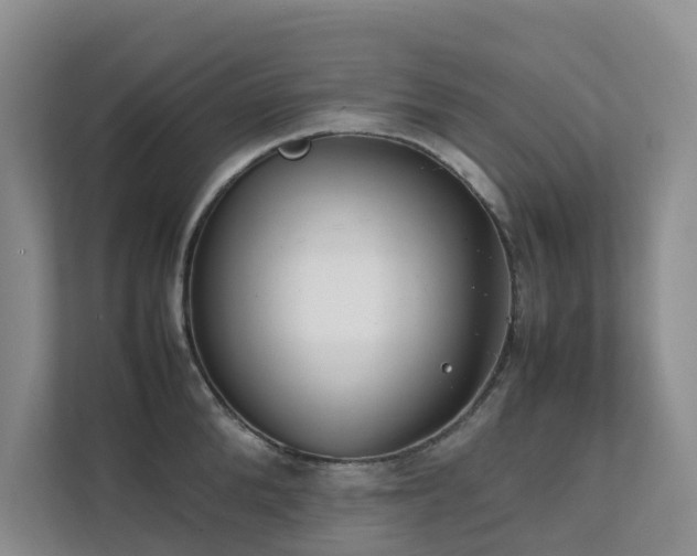 X0000111350904200907101207