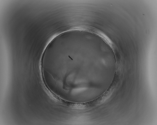 X0000111350907200907101207