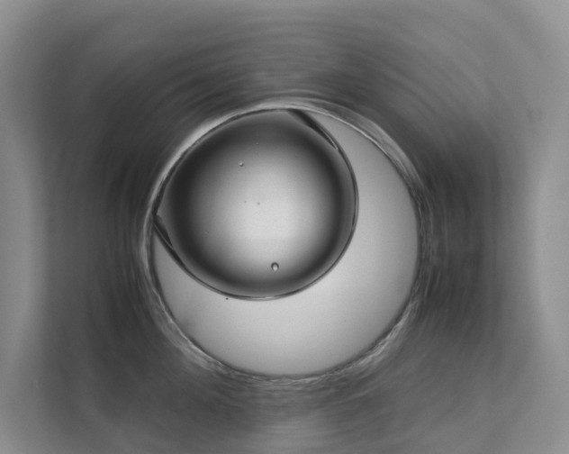 X0000111350908200907101207
