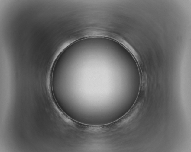 X0000111350909200907101207