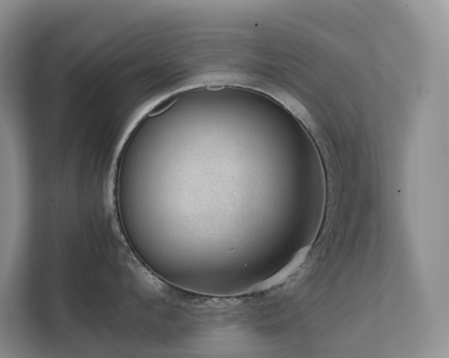 X0000111350912200907101207