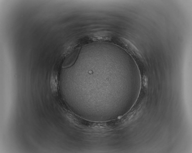 X0000111350915200907101207