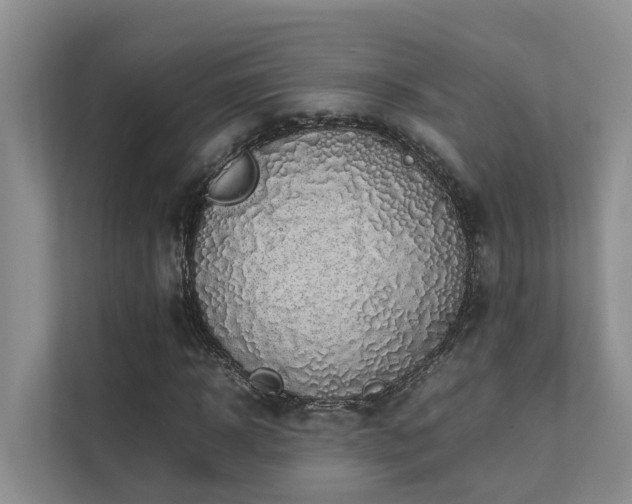 X0000111350918200907101207