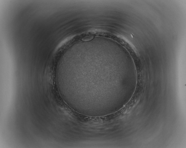 X0000111350919200907101207