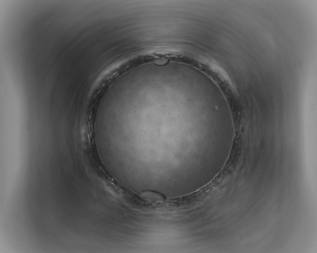 X0000111350920200907101207