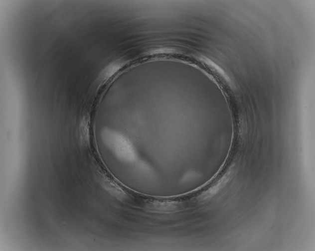 X0000111350921200907101207