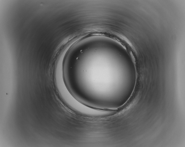 X0000111350922200907101207