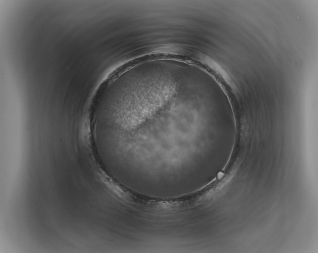 X0000111350923200907101207