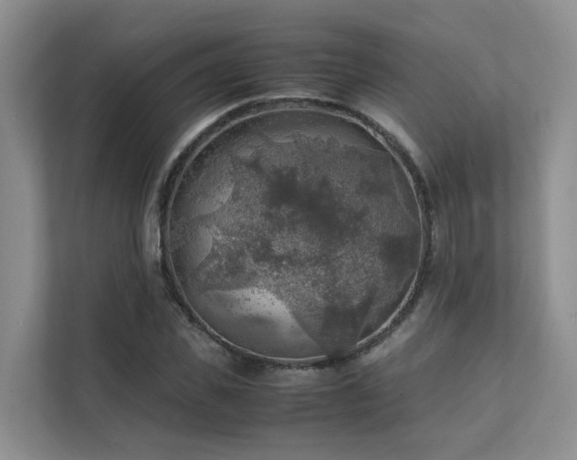 X0000111350925200907101207