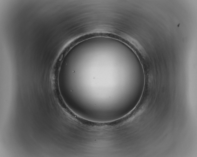 X0000111350926200907101207