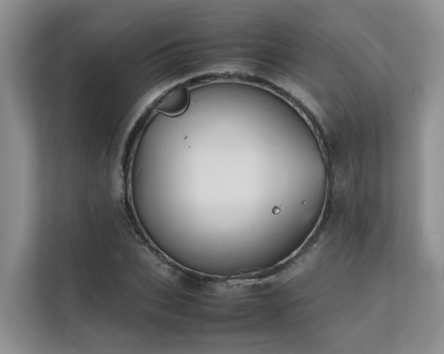 X0000111350927200907101207