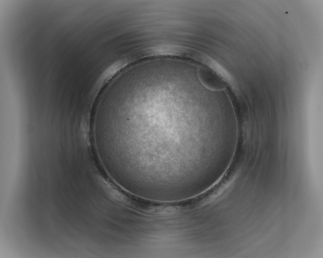 X0000111350930200907101207