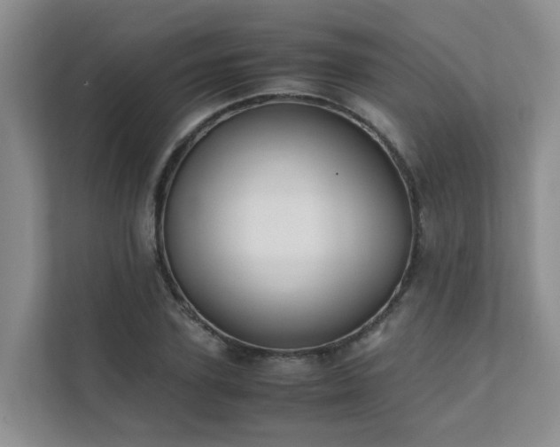X0000111350931200907101207