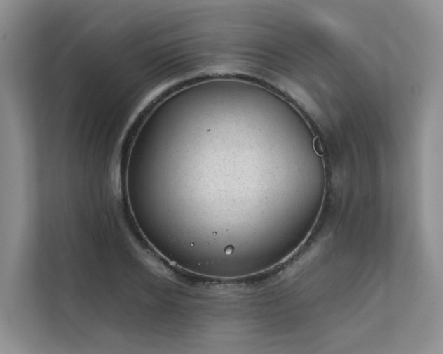 X0000111350934200907101207