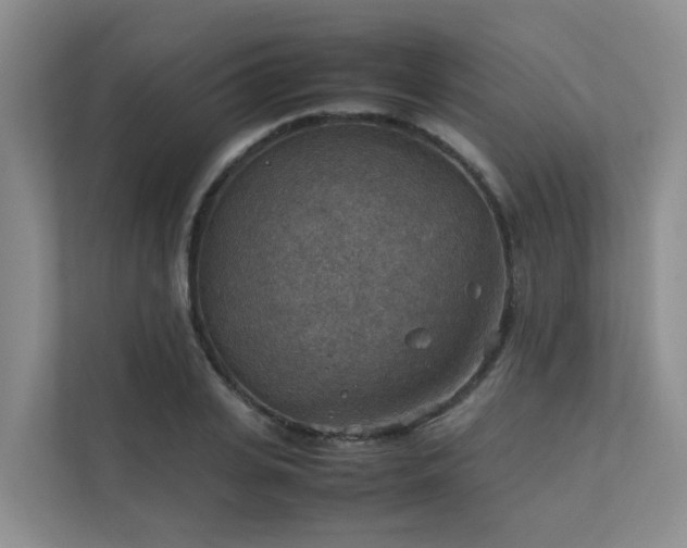 X0000111350935200907101207