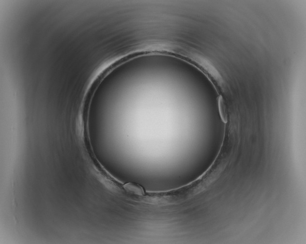 X0000111350936200907101207