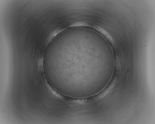 X0000111350937200907101207