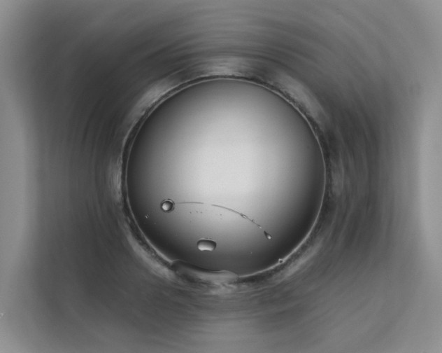 X0000111350938200907101207