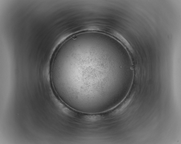 X0000111350939200907101207