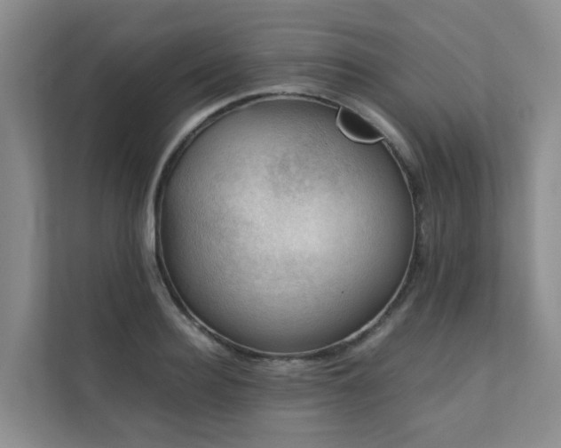 X0000111350940200907101207